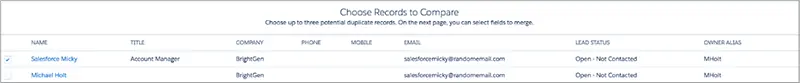 potential duplicates screenshot - choose records