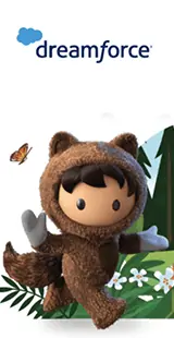 Dreamforce